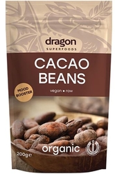 Dragon Cacao BEANS RAW Premium Quality